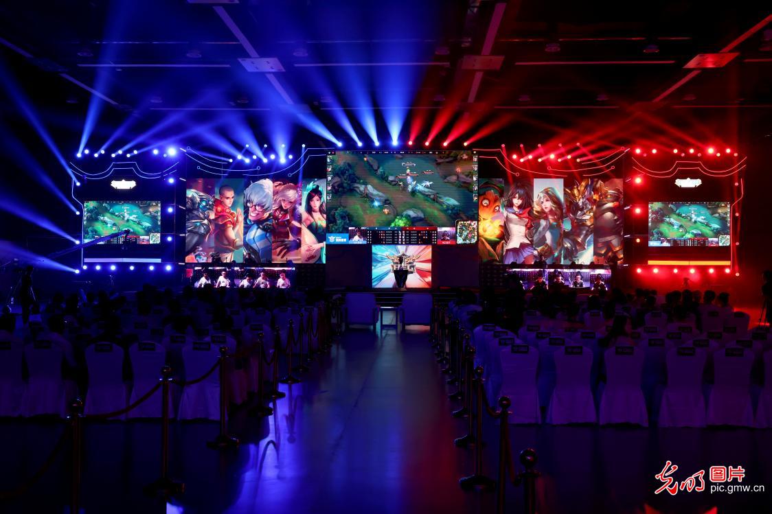 的进步无疑 的进步无疑