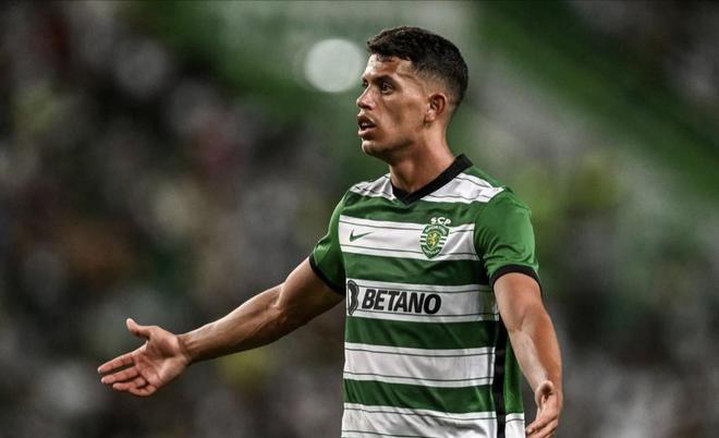 容易失去冷 容易失去冷