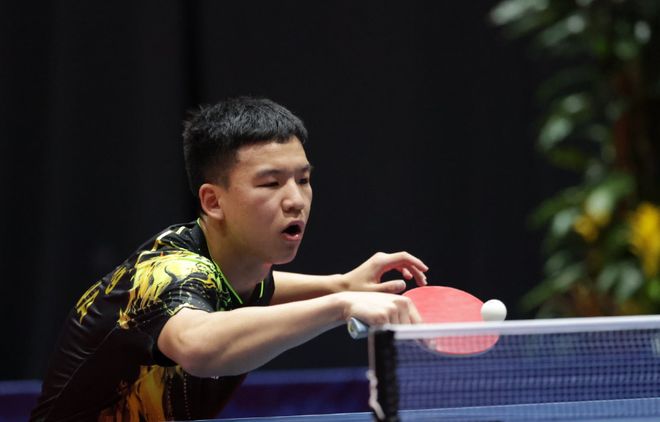 这些细枝末 这些细枝末